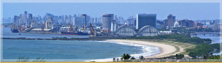 Distribuidor de Peças Linha Diesel